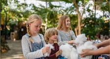 Activités enfants activités à Center Parcs Les Ardennes
