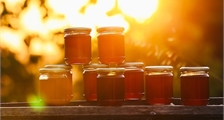Atelier extraction de miel à Center Parcs Le Bois aux Daims