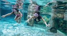 Baptème de plongée à Center Parcs Le Bois aux Daims