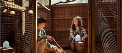 Les ateliers activités à Center Parcs Le Bois aux Daims