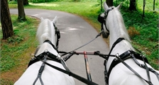 Excursions Center Parcs : Balade en roulotte à Center Parcs Bispinger Heide