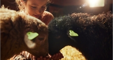 La ferme pour enfants à Center Parcs Limburgse Peel