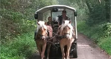 Excursions Center Parcs : Balade en roulotte à Center Parcs Limburgse Peel