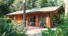 Chalet Boekhorst-6 à EuroParcs De Achterhoek