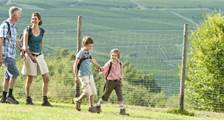 Promener et faire du vélo activités à Landal Sonnenberg