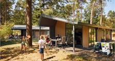 Cabane en bois bornia à RCN Het Grote Bos