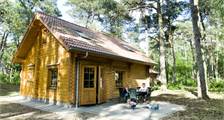 Cottage Villa de vacances sparrendaal à RCN Het Grote Bos